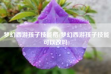 梦幻西游孩子技能格(梦幻西游孩子技能可以改吗)