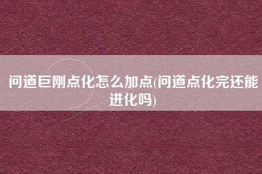 问道巨刚点化怎么加点(问道点化完还能进化吗)