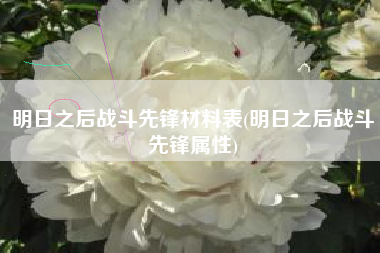 明日之后战斗先锋材料表(明日之后战斗先锋属性)