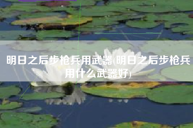 明日之后步枪兵用武器(明日之后步枪兵用什么武器好)