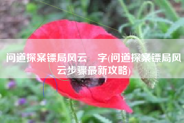 问道探案镖局风云汧字(问道探案镖局风云步骤最新攻略)