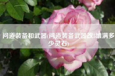 问道装备和武器(问道装备武器改5堆满多少灵石)