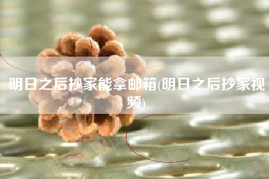 明日之后抄家能拿邮箱(明日之后抄家视频)