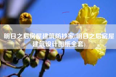 明日之后房屋建筑防抄家(明日之后房屋建筑设计图纸全套)