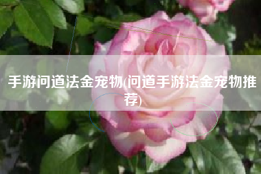 手游问道法金宠物(问道手游法金宠物推荐)