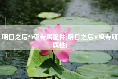 明日之后20级专属配件(明日之后30级专研属性)