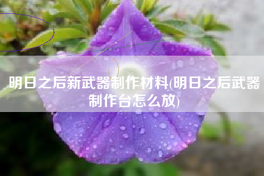 明日之后新武器制作材料(明日之后武器制作台怎么放)