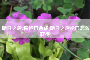 明日之后2阶枪口合成(明日之后枪口怎么获得)