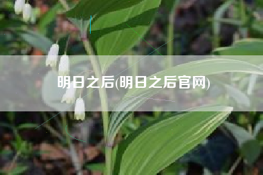 明日之后(明日之后官网)