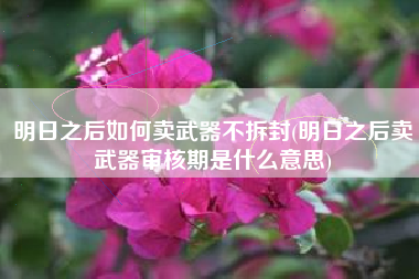 明日之后如何卖武器不拆封(明日之后卖武器审核期是什么意思)