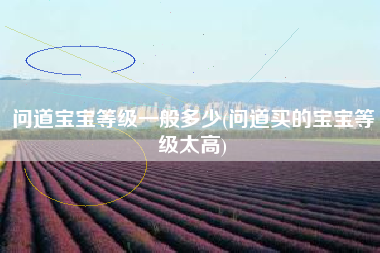 问道宝宝等级一般多少(问道买的宝宝等级太高)