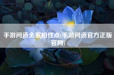 手游问道金系相性点(手游问道官方正版官网)