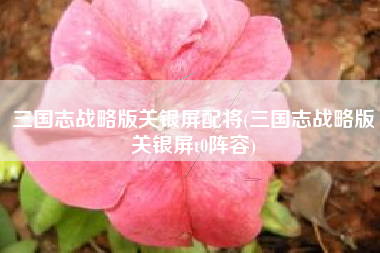 三国志战略版关银屏配将(三国志战略版关银屏t0阵容)