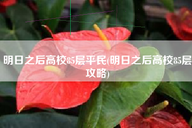 明日之后高校85层平民(明日之后高校85层攻略)