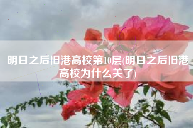 明日之后旧港高校第10层(明日之后旧港高校为什么关了)