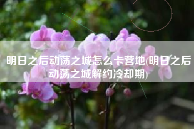 明日之后动荡之城怎么卡营地(明日之后动荡之城解约冷却期)