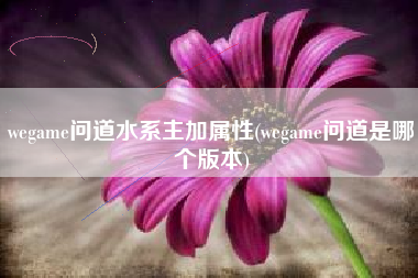 wegame问道水系主加属性(wegame问道是哪个版本)