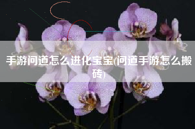 手游问道怎么进化宝宝(问道手游怎么搬砖)