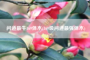 问道最牛169体木(169级问道最强体木)
