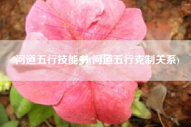 问道五行技能书(问道五行克制关系)