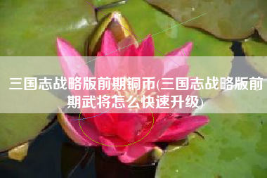 三国志战略版前期铜币(三国志战略版前期武将怎么快速升级)