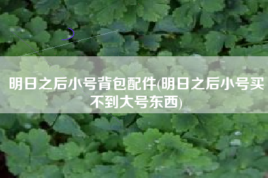 明日之后小号背包配件(明日之后小号买不到大号东西)