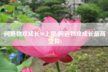 问道物攻成长90上限(问道物攻成长最高变异)