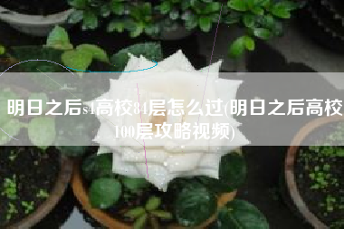 明日之后s4高校84层怎么过(明日之后高校100层攻略视频)