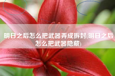 明日之后怎么把武器弄成拆封(明日之后怎么把武器隐藏)