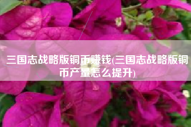 三国志战略版铜币赚钱(三国志战略版铜币产量怎么提升)