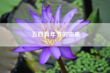 五四青年节的由来