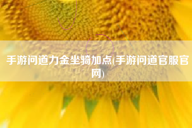 手游问道力金坐骑加点(手游问道官服官网)