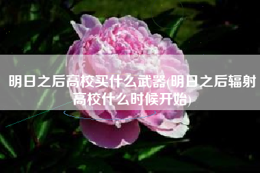 明日之后高校买什么武器(明日之后辐射高校什么时候开始)