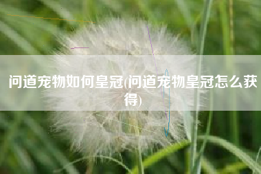 问道宠物如何皇冠(问道宠物皇冠怎么获得)