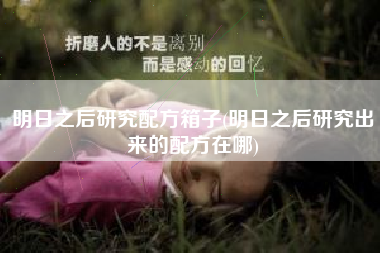 明日之后研究配方箱子(明日之后研究出来的配方在哪)