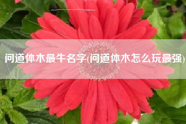 问道体木最牛名字(问道体木怎么玩最强)