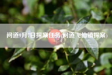 问道9月7日探案任务(问道飞仙镇探案)