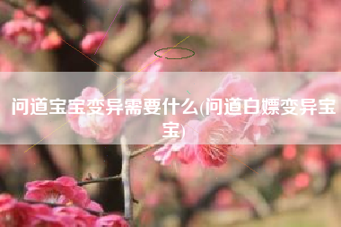 问道宝宝变异需要什么(问道白嫖变异宝宝)