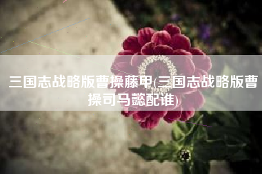 三国志战略版曹操藤甲(三国志战略版曹操司马懿配谁)