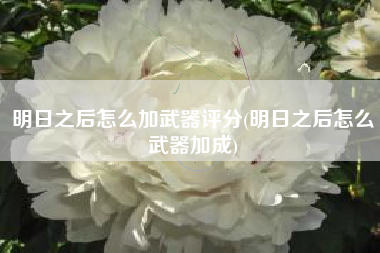 明日之后怎么加武器评分(明日之后怎么武器加成)