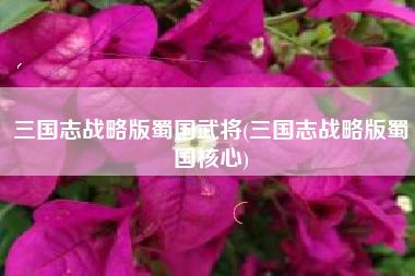 三国志战略版蜀国武将(三国志战略版蜀国核心)