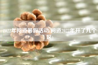 2022年问道暑假活动(问道2022年开了几个区)