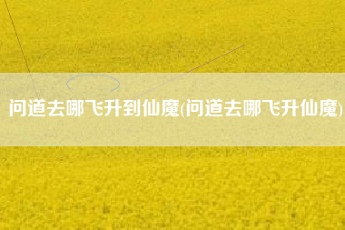 问道去哪飞升到仙魔(问道去哪飞升仙魔)