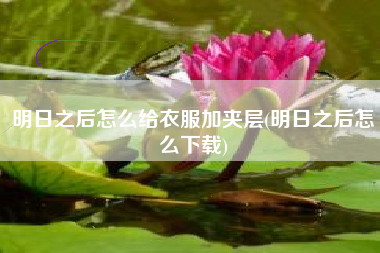 明日之后怎么给衣服加夹层(明日之后怎么下载)