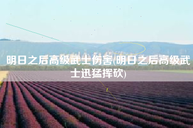 明日之后高级武士伤害(明日之后高级武士迅猛挥砍)