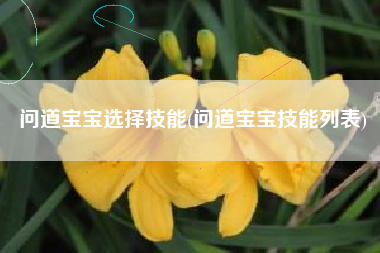 问道宝宝选择技能(问道宝宝技能列表)