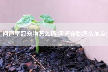 问道皇冠宠物怎么扔(问道宠物怎么加点)