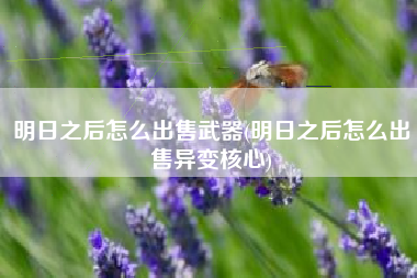 明日之后怎么出售武器(明日之后怎么出售异变核心)