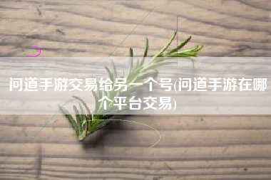问道手游交易给另一个号(问道手游在哪个平台交易)