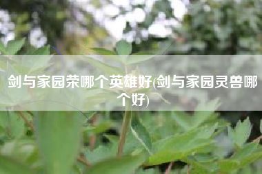 剑与家园荣哪个英雄好(剑与家园灵兽哪个好)